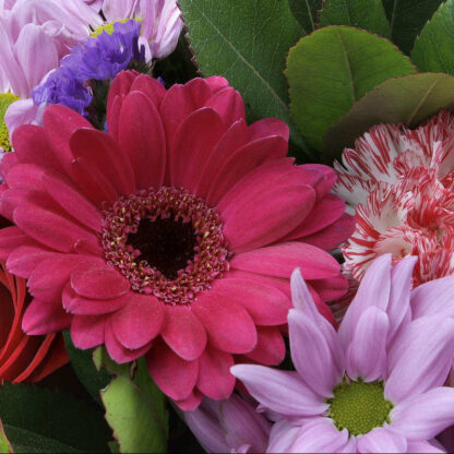 Ramo de flores de temporada de tonos rojos y violetas