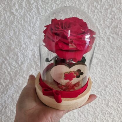 Rosa Sant Valentí