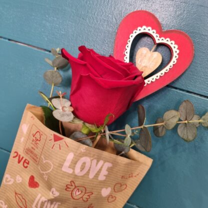 Rosa roja de San Valentin con un papel kraft / Love y un pick de corazon