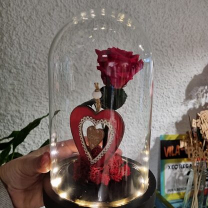 Cupula con LED y rosa de San Valentin