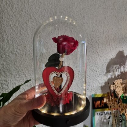 Cupula con LED y rosa de San Valentin