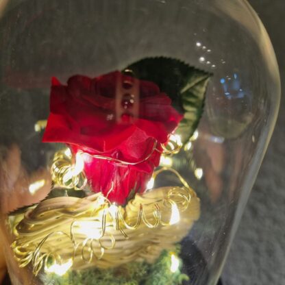 Cupula led Rosa eterna San Valentin.