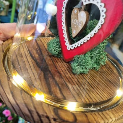 Cupula led Rosa eterna San Valentin.