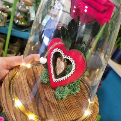 Cupula led Rosa eterna San Valentin.