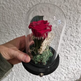 Cupula led Rosa eterna San Valentin.