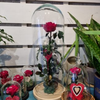 Cupula grande vidrio artesanal con rosa roja y eterna