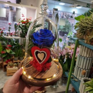 Cupula de vidrio con la rosa AZUL eterna con luz de LED