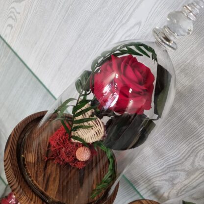 Cupula de vidrio con la rosa ROJA eterna con luz de LED