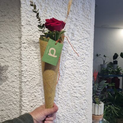 Decoració de la rosa i del con pot variar de la foto com la varietat de la rosa.
