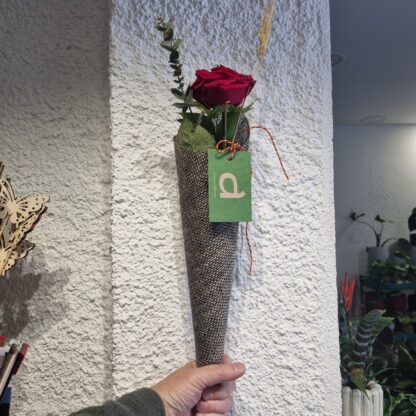Decoració de la rosa i del con pot variar de la foto com la varietat de la rosa.