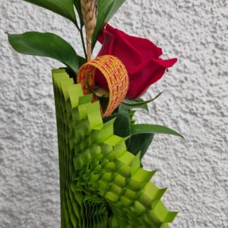 Sant Jordi 2025