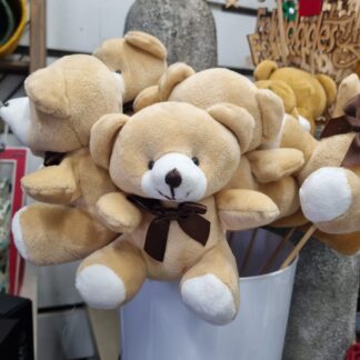 PELUIX, PELUCHE, Roses de Sant Valentí, Rosas de San Valentín, Vila-seca, Floristeria Vila-seca, Floristería Vila-seca