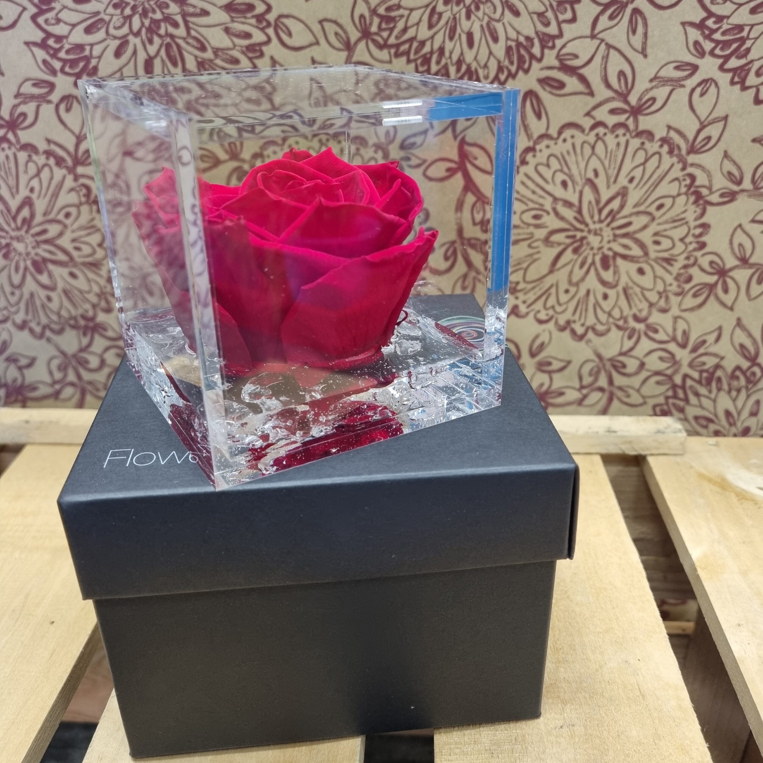 Flower cube Italy, Rosa eterna, Rosa preservada, Rosas con aroma, Roses de Sant Valentí, Rosas de San Valentín, Vila-seca, Floristeria Vila-seca, Floristería Vila-seca