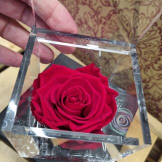 Flower cube Italy, Rosa eterna, Rosa preservada, Rosas con aroma, Roses de Sant Valentí, Rosas de San Valentín, Vila-seca, Floristeria Vila-seca, Floristería Vila-seca