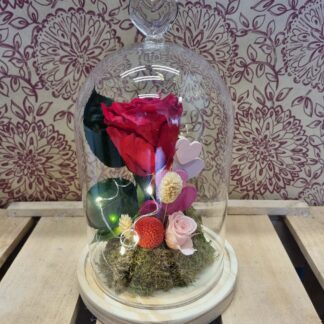 Cupula amb la rosa preservada vermella "Eternity Love"