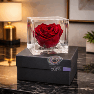 Rosa eterna/preservada PERFUMADA 'Flower Cube Italy' varies colors