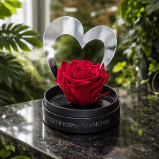 Rosa eterna/preservada PERFUMADA VERMELLA amb la seva caixa i cor metacrilat