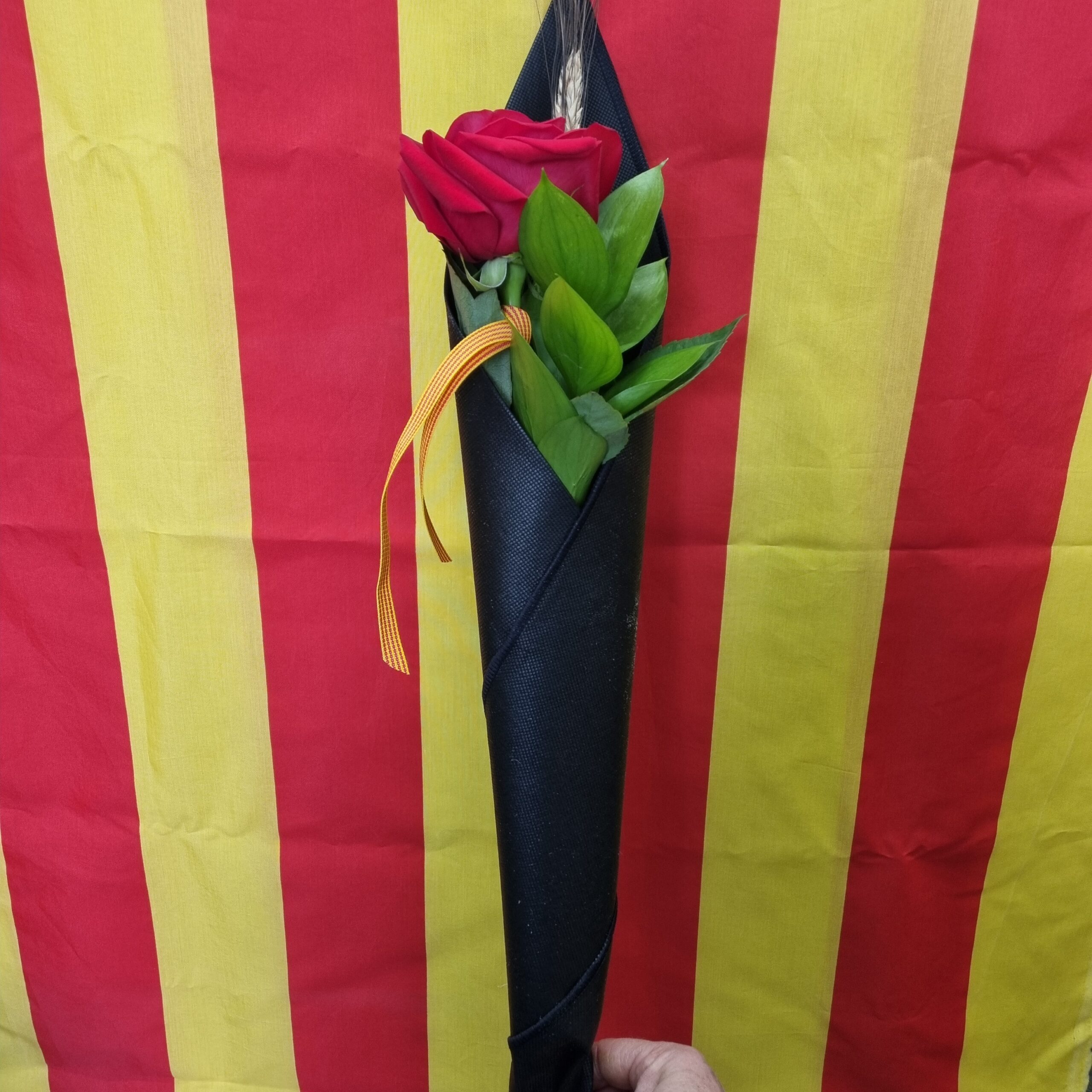 Rosa Sant Jordi Floristeria Artesaniaflorae Vila-seca, Tarragona