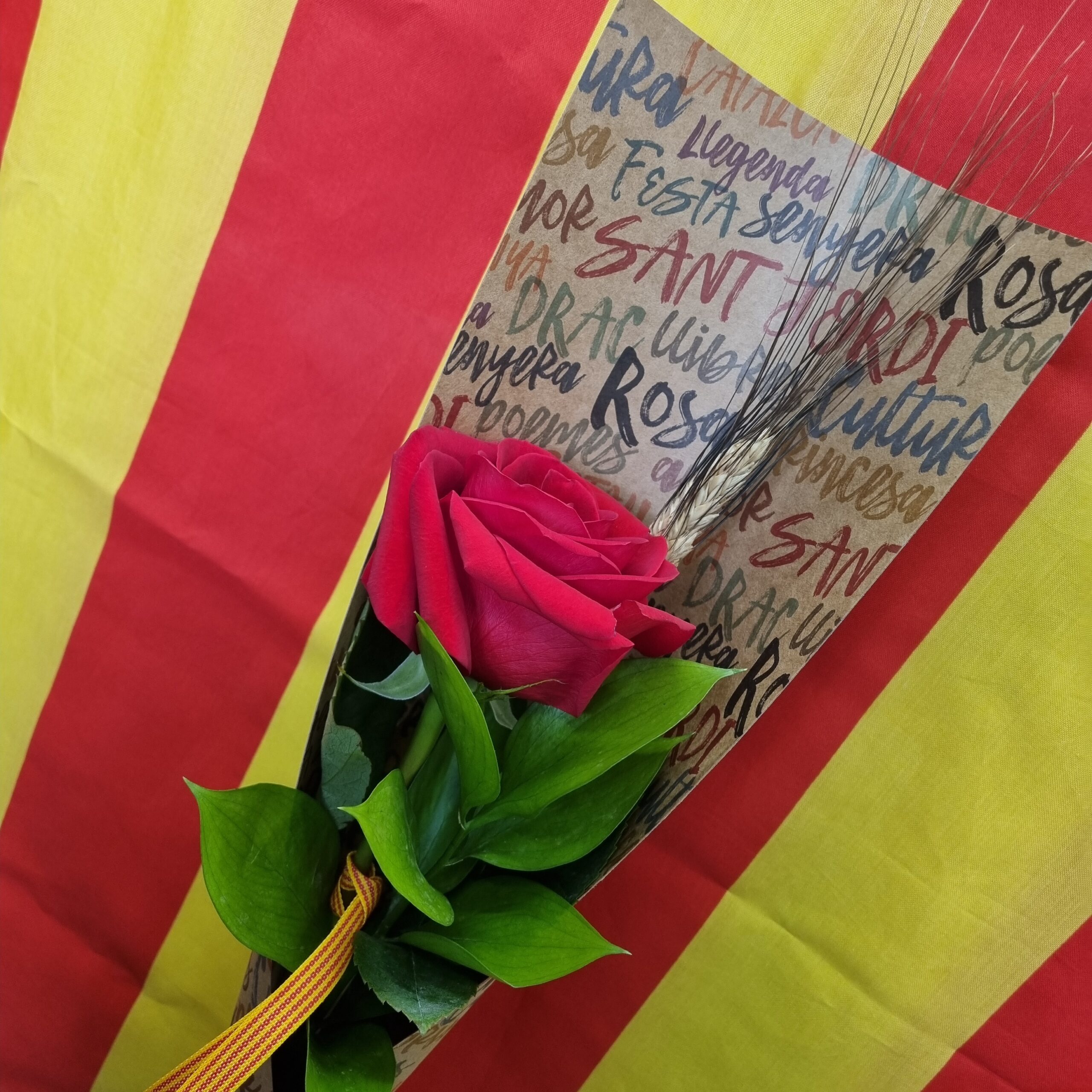 Rosa Sant Jordi Floristeria Artesaniaflorae Vila-seca, tarragona